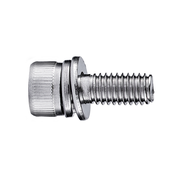 Stainless Steel Hexagon Socket Head Cap Screw
