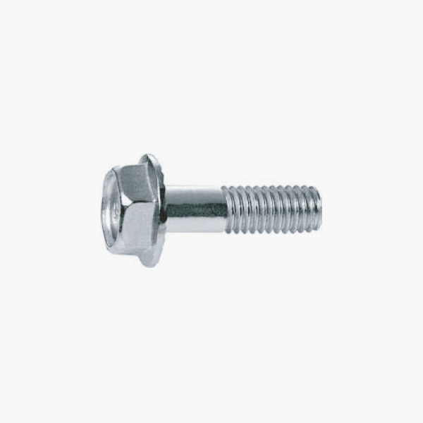 Hex Flange Screw (ASTM)