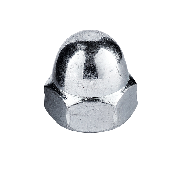 Hexagon Domed Cap Nut
