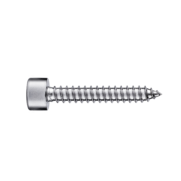 Stainless Steel Hexagon Socket Head Self-Tapping Screw